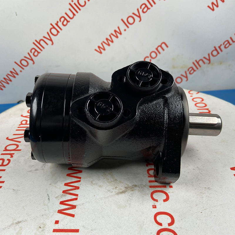 Brevini Hydraulic Motor from China manufacturer Huizhou Loyal